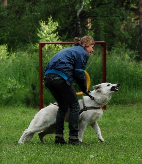 Первые тренировки июнь 2010