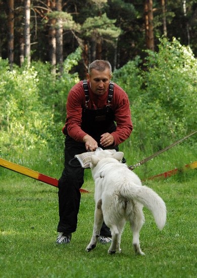 Первые тренировки июнь 2010
