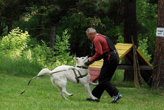 Первые тренировки июнь 2010
