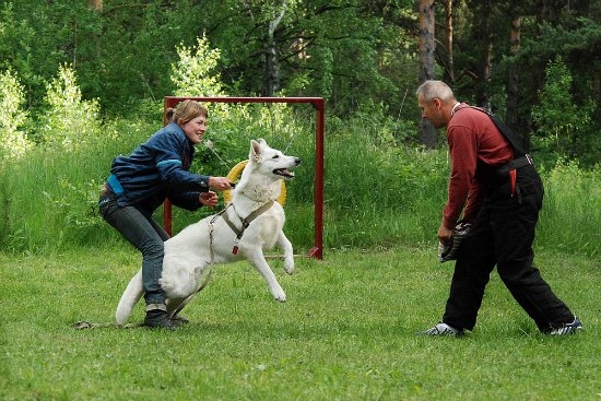 Первые тренировки июнь 2010