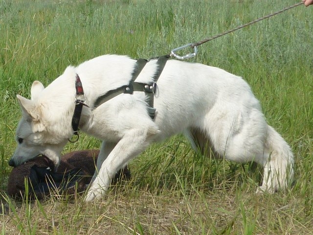 июль 2010