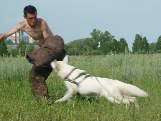 июль 2010