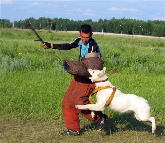июль 2010