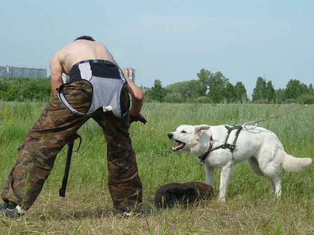 июль 2010
