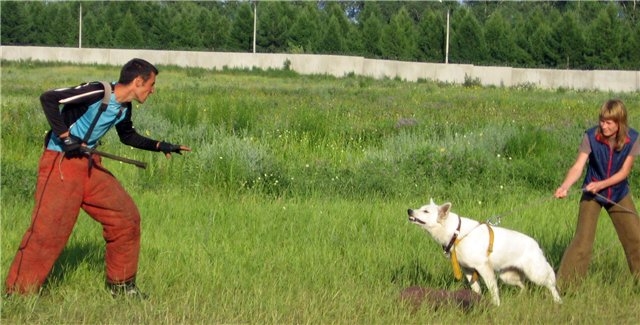 июль 2010
