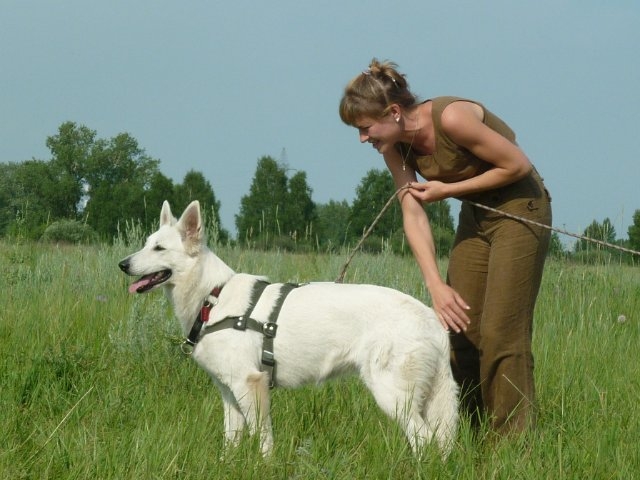 июль 2010