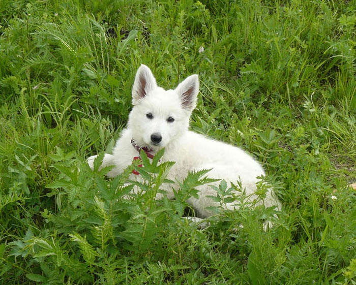 Baby foto