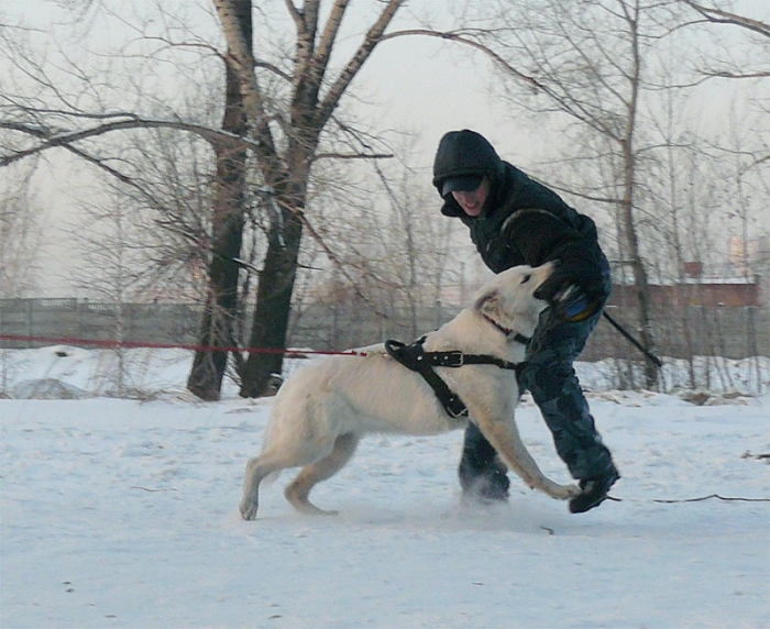 2010