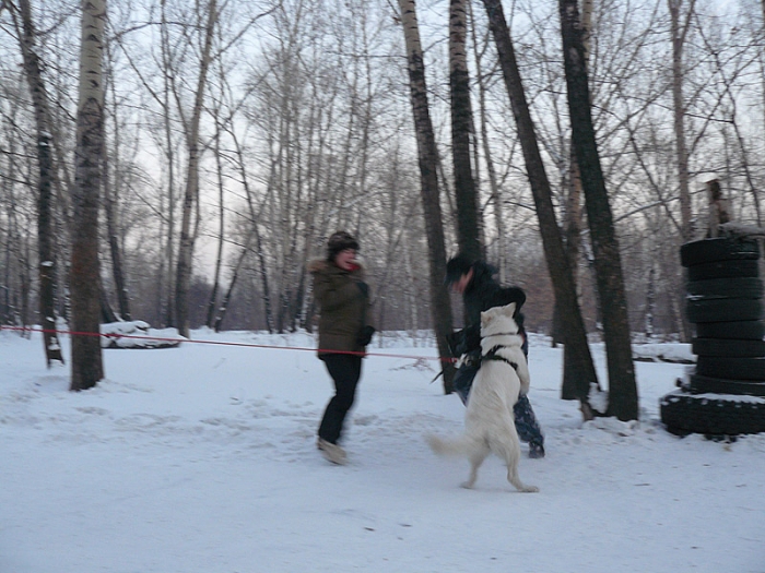 Нападение 2010