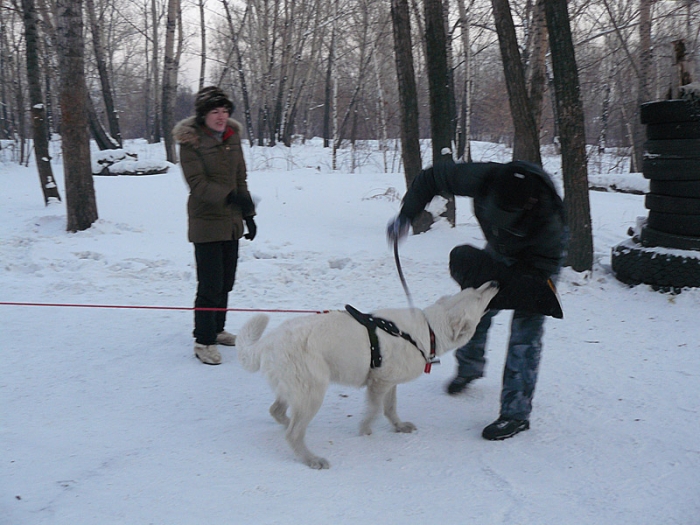 Нападение 2010