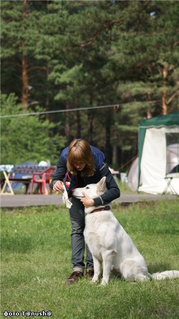 выборка