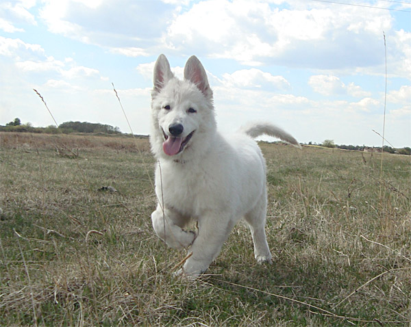 2011