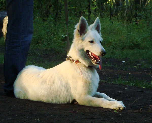 2011
