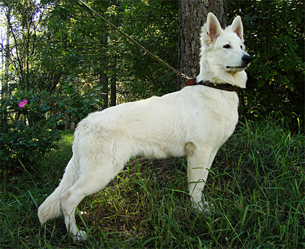 2011