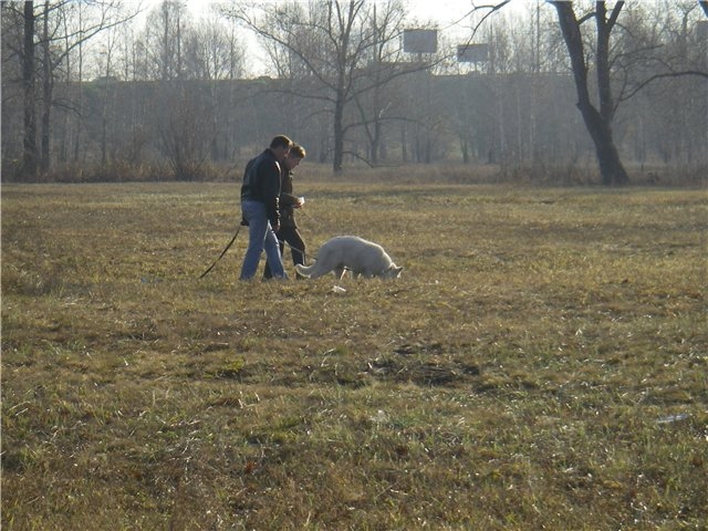 след