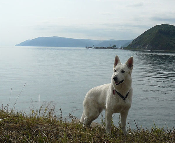 Байкал