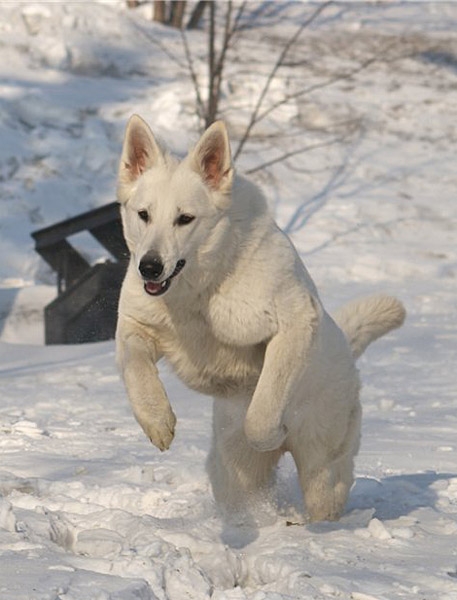 Зима